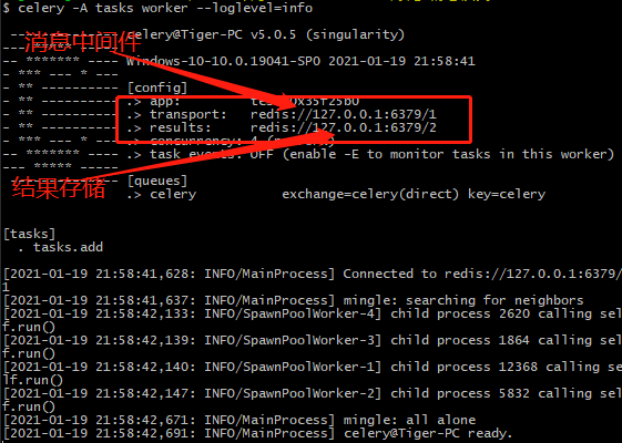 image-20210119220136204