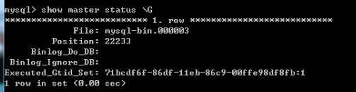 image-20210421201724219